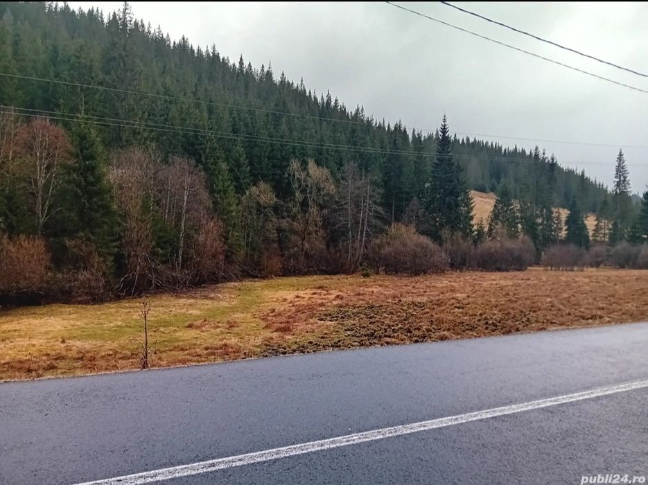 Teren de vinzare,si Casă cu anexe