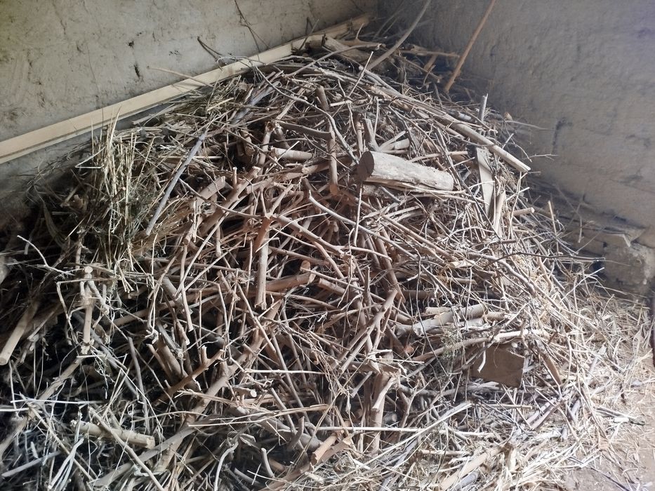 Дарахт шохларидан ўтинлар