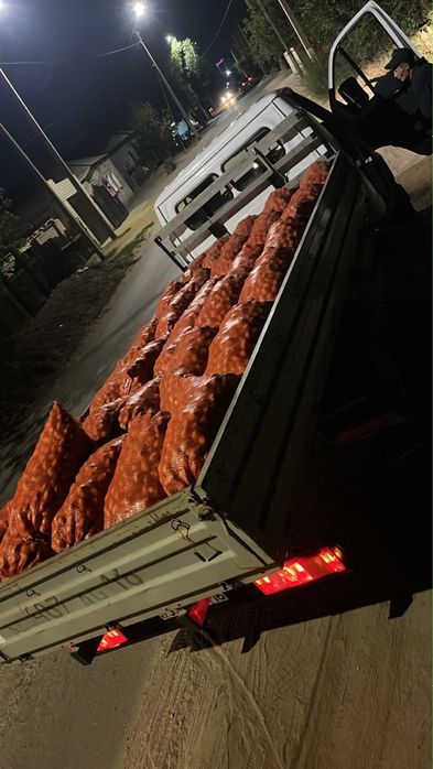 Картошка домошняя 5000 тенге мешок