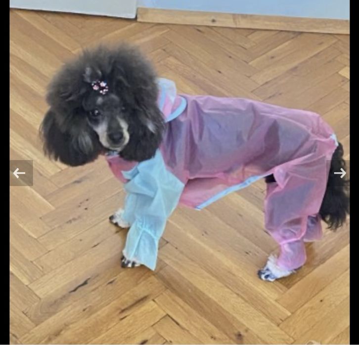 Дрехи за куче - яке, дъждобран и елек