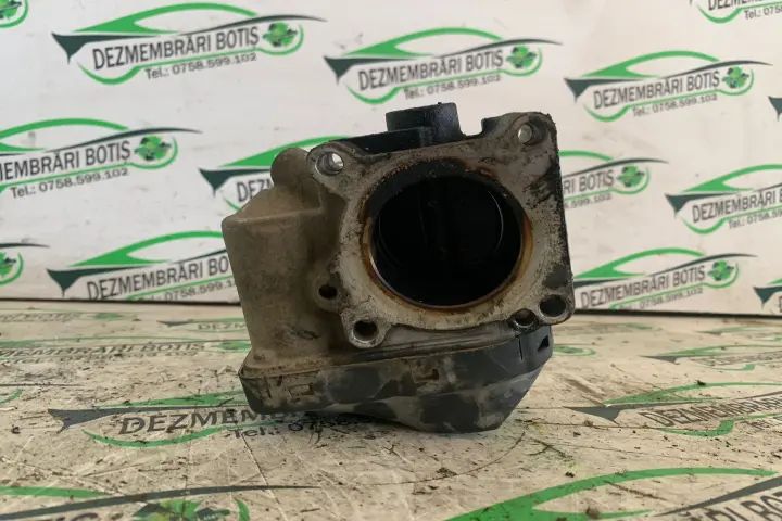 Clapeta acceleratie Volkswagen VW Polo 2001 1.4 MT (75 hp)