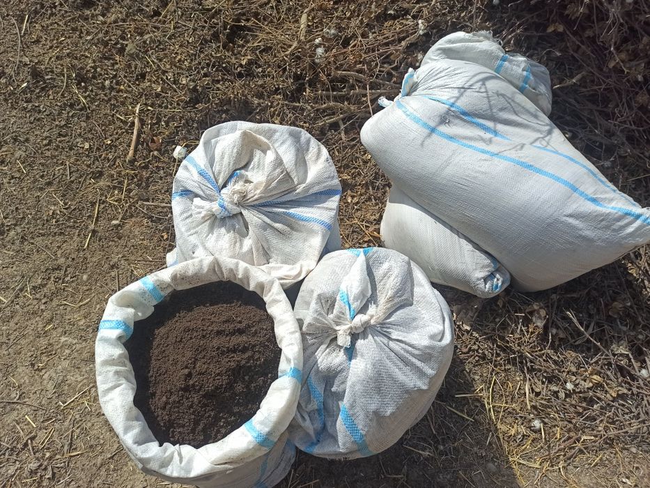 Bio gums anchagina bor telfon raqam