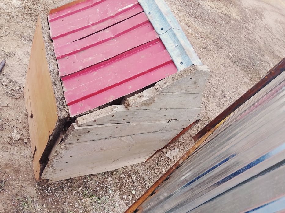 Күшіктін ұясы сатылады бағасы  9000