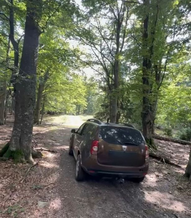 Dacia Duster 2011 – 4x4 la buton, 110 CP