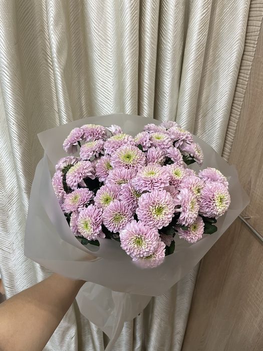 Продам цветы от 5000
