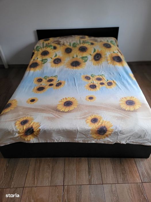 Casa de vanzare Lumina constanta