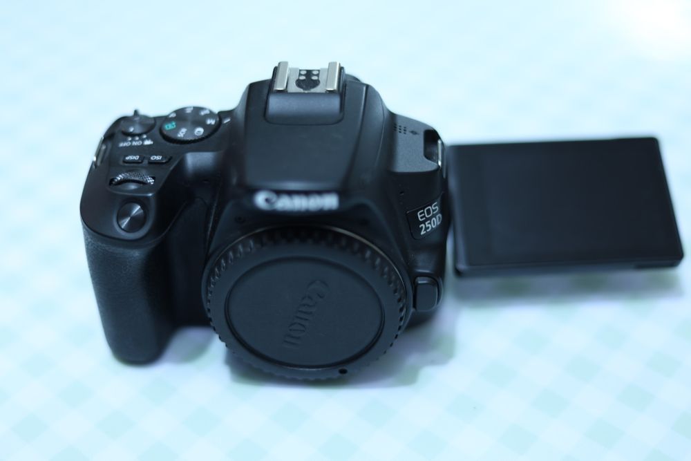 Фотокамера Canon eos 250d EF-S 18-55 IS STM Kit