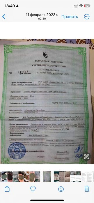 Семена люцерно  жонышка урыгы