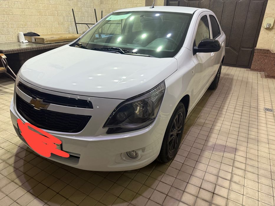 Yengi Cobalt MCM midnight 25/26