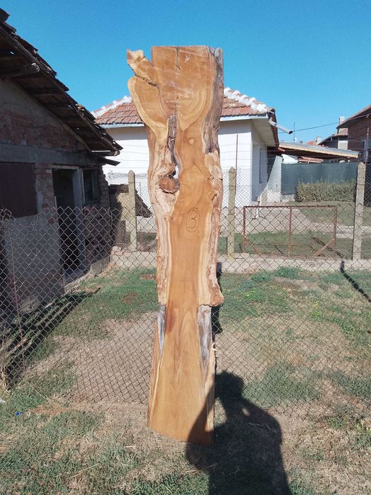 Сух ян от черница