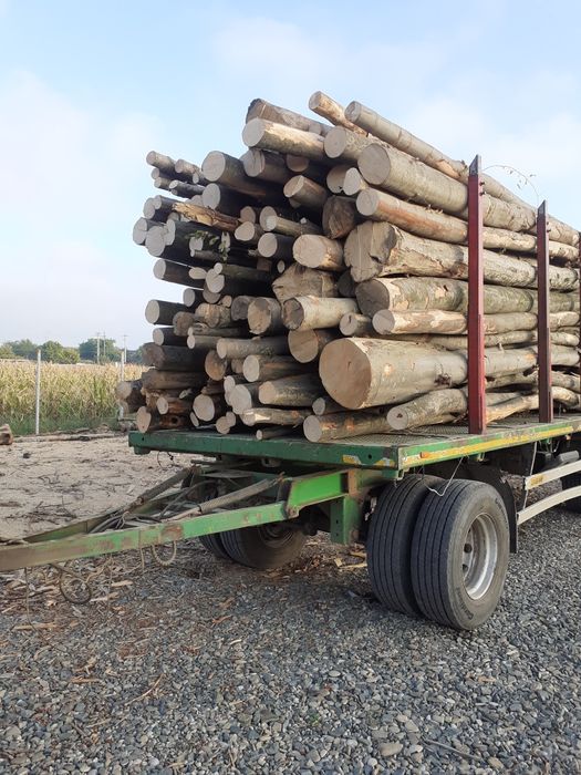 Lemne de foc esențe tari și moi