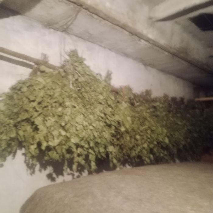 Продам банные веники