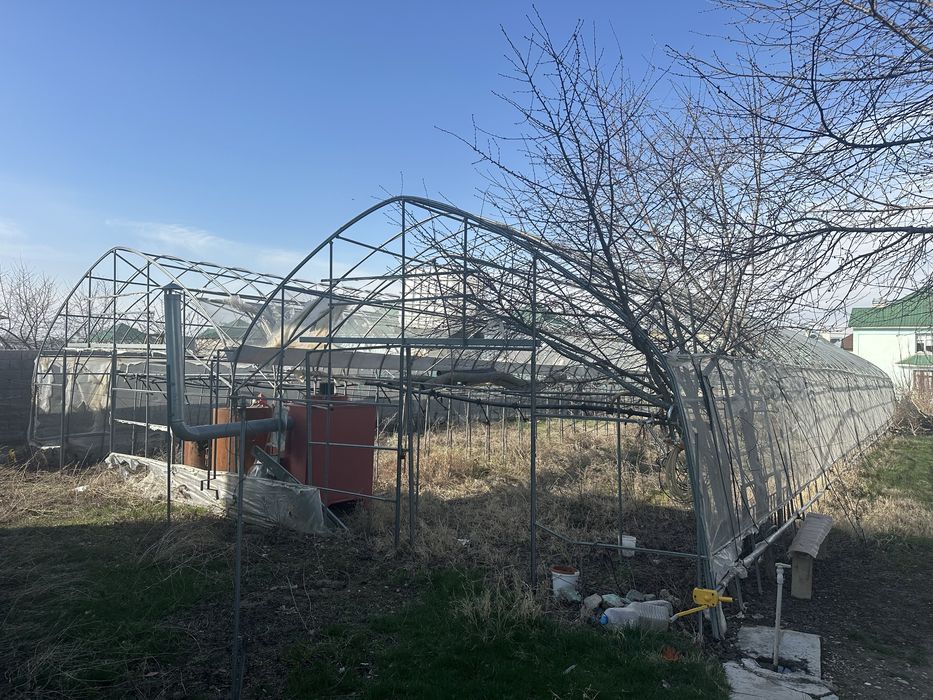 Теплица сатамын багасы 800000