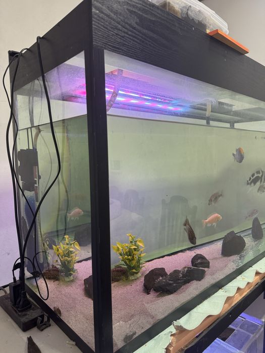 Аквариум 320литров