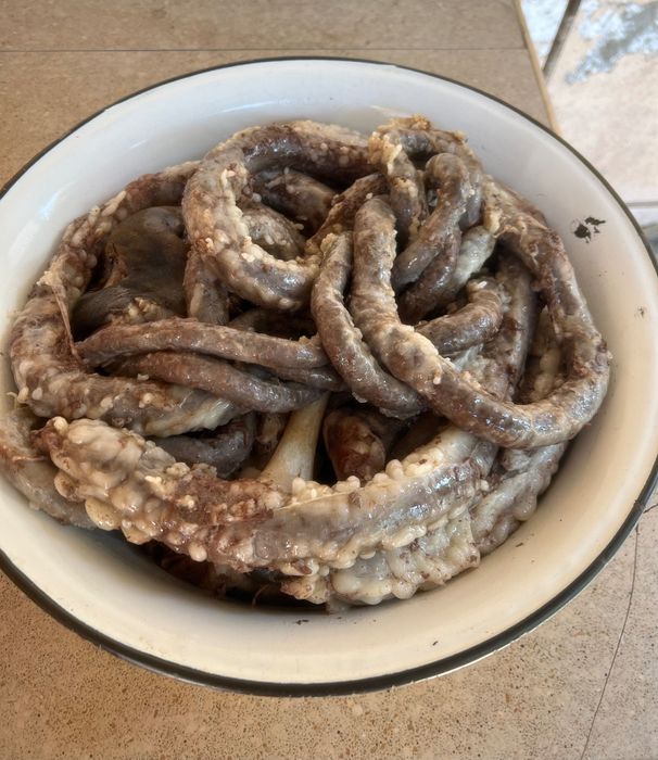 Qo’ylar, qassob, kalla pocha hasip