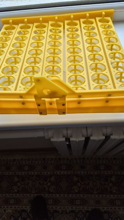 Ячейка для инкубации яиц.