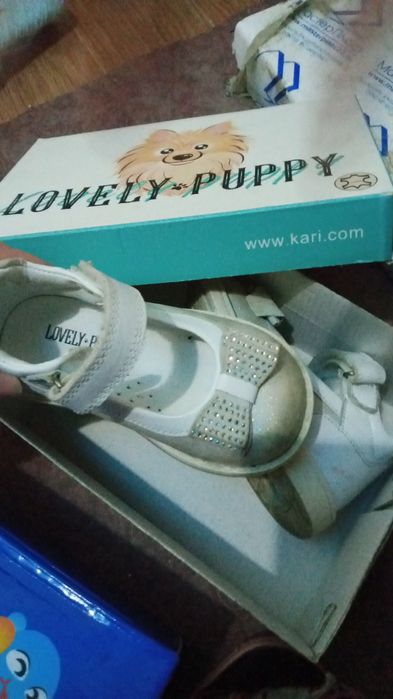 Таза бары 20 размер ден басталад