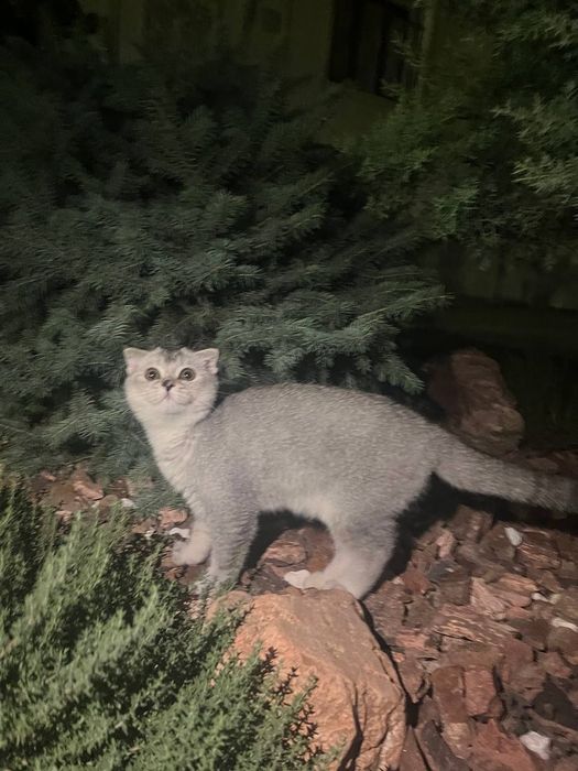 Liza Ann va uning dostlari porno filmda