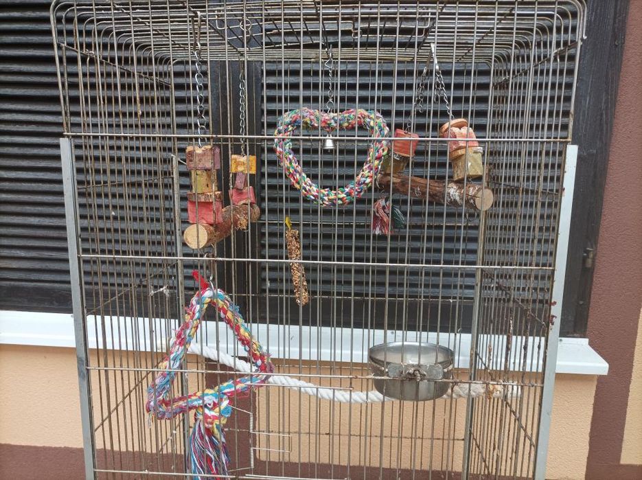 Нови клетки за птици