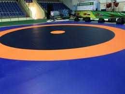 Борцовский ковер (без матов), 6м х 6м