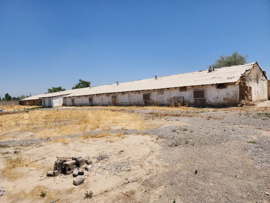 Земля 50 соток Янги Узбекистон 3 км