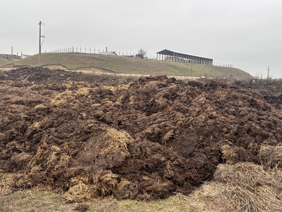 Gunoi de grajd uscat