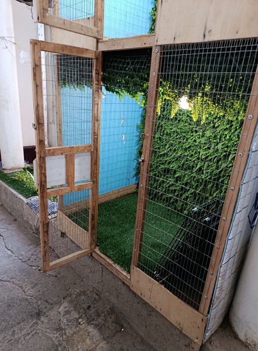 Qafas valer sotiladi