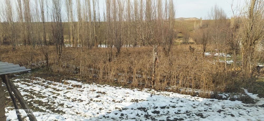 Уй сотилади 1гектар атрофида 100 000 уй яшашга таййор