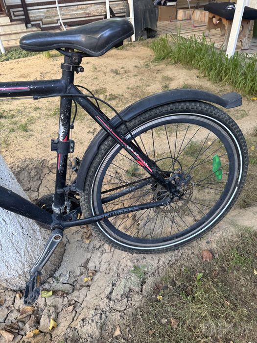 Velosiped velik
