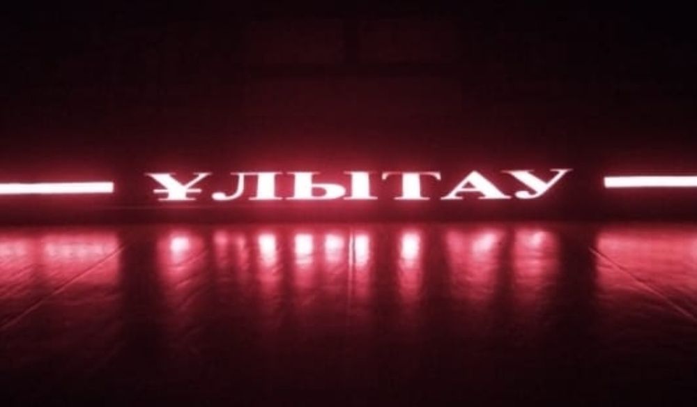 Led подномерники, (любая надпись)