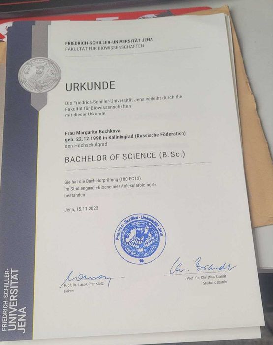 Репетитор немецкого языка