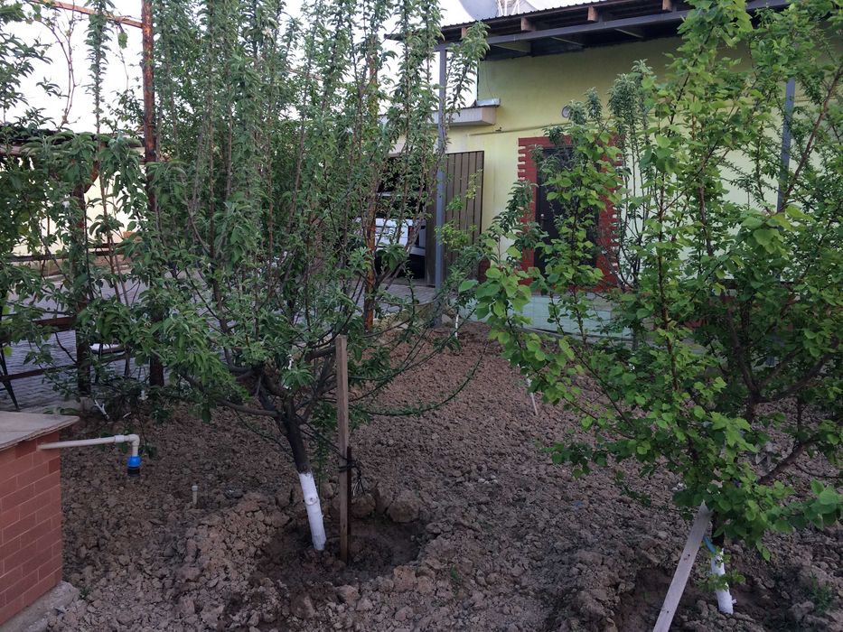 аренда дома коттеджа