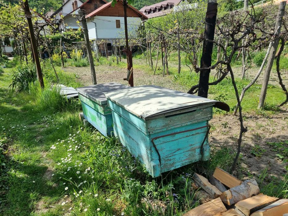 Vand cutii stupi albine