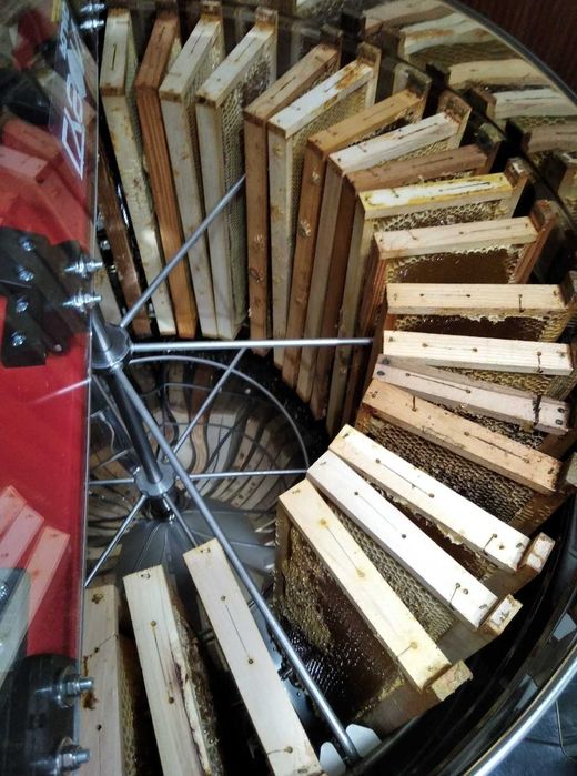 Биологичен пчелен мед Акация и аморфа