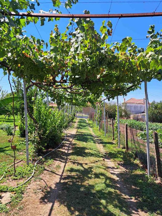 Продава се Парцел в с. Окоп, Област Ямбол - 1250 кв.м за 52 €/кв.м - Снимка #11