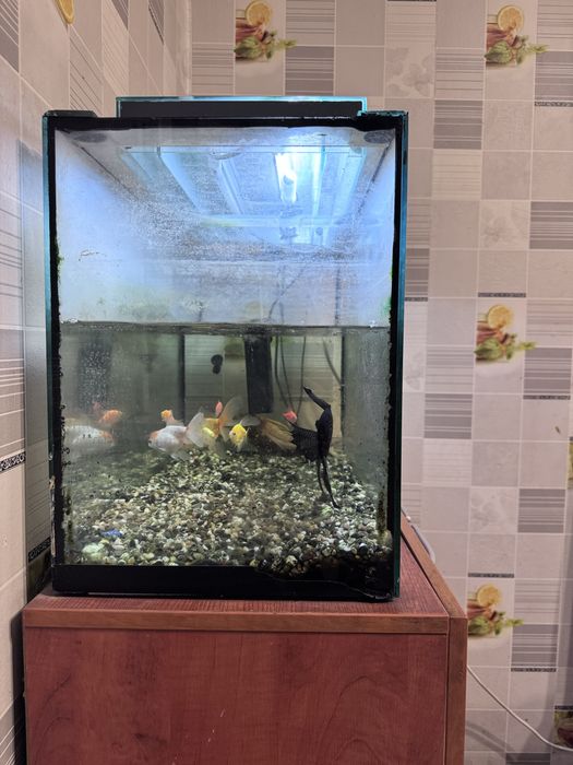 Продам Аквариум с рыбками