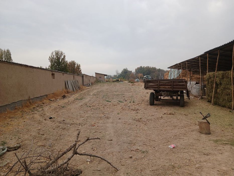 Участка ва молхона