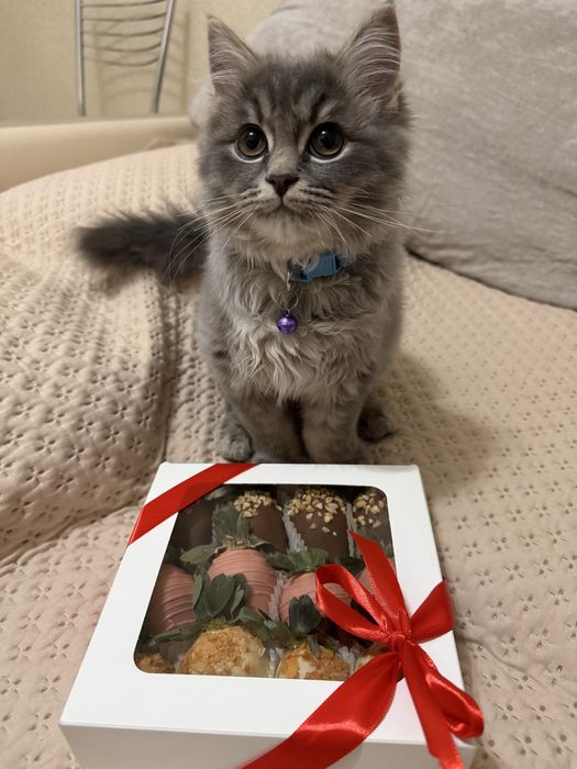 на хорошие руки