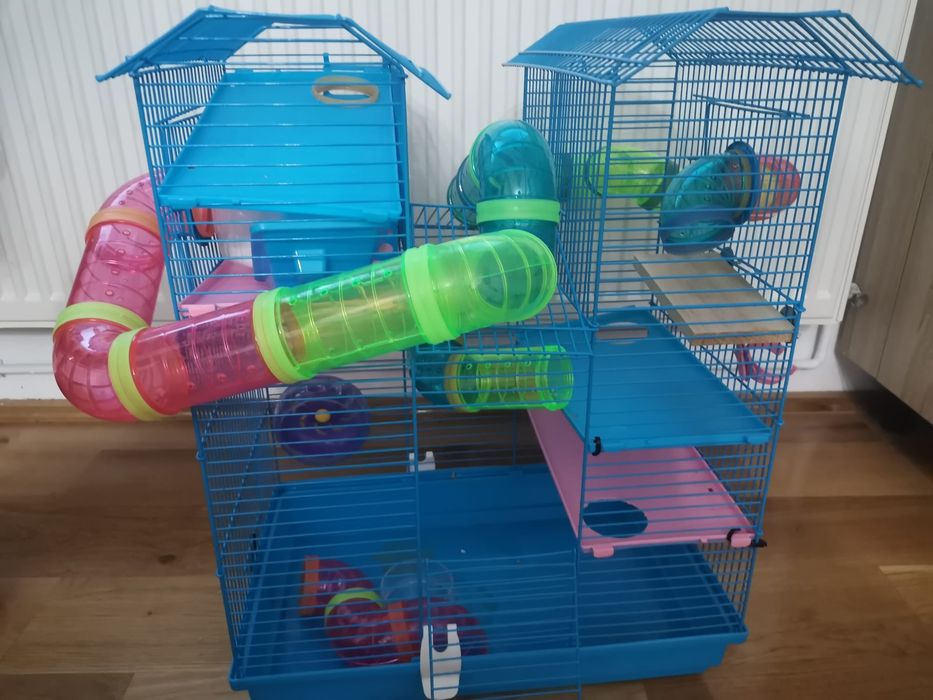 Vand cușcă pt hamster