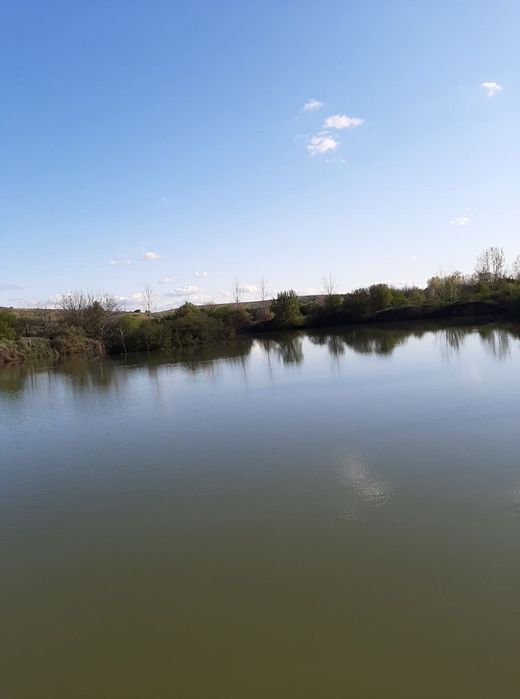 Продава се Парцел в Мизия - 21000 кв.м за 7 €/кв.м - Снимка #16