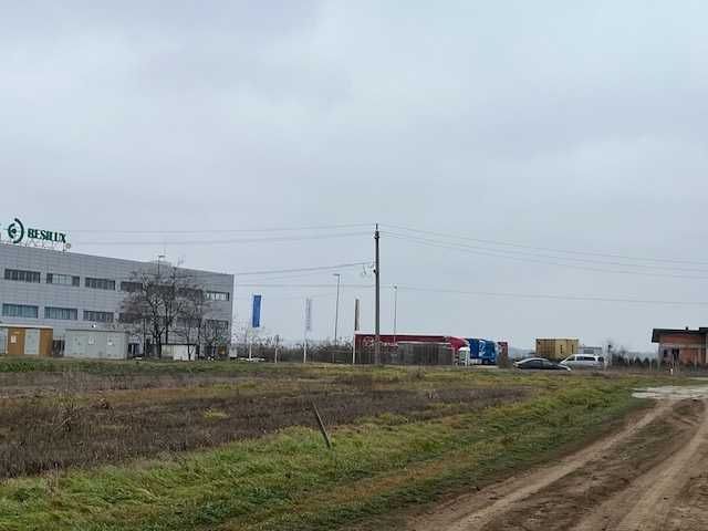 Teren intravilan 2000 mp  Dascălu (Ilfov), deschidere27 metri la DJ200