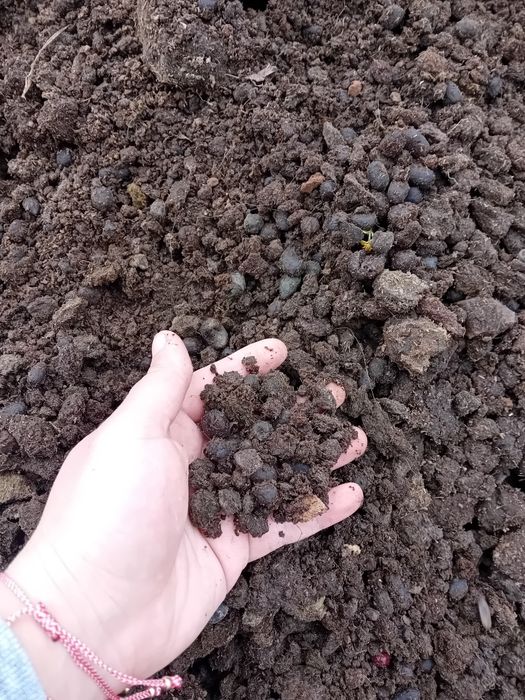 Vând gunoi bio ecologic vechi / îngrășământ natura