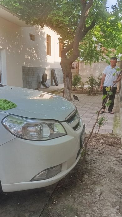 Other Epica 2011 — 6