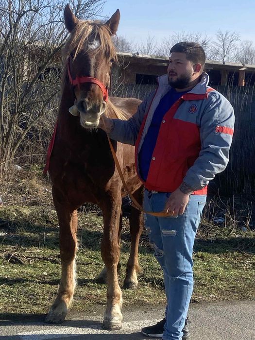 Manza de un an jumate