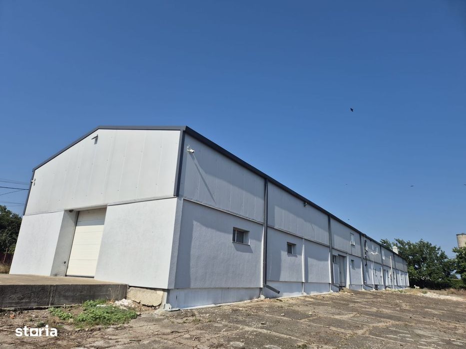 Hala 300 mp + 80 mp birouri, teren 1000 mp, mobilată - Catamarasti