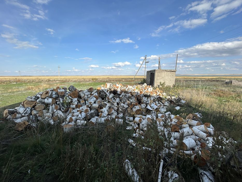 Продам дрова . Береза.