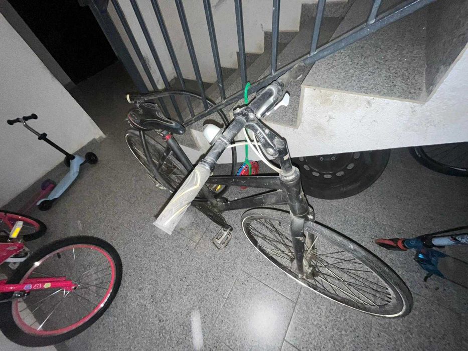 bicicleta principia evolve,x -zite