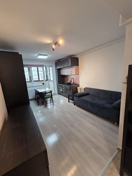 Apartament 2 camere tip studio Gura Putnei