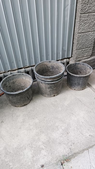 Вёдра для саженцев