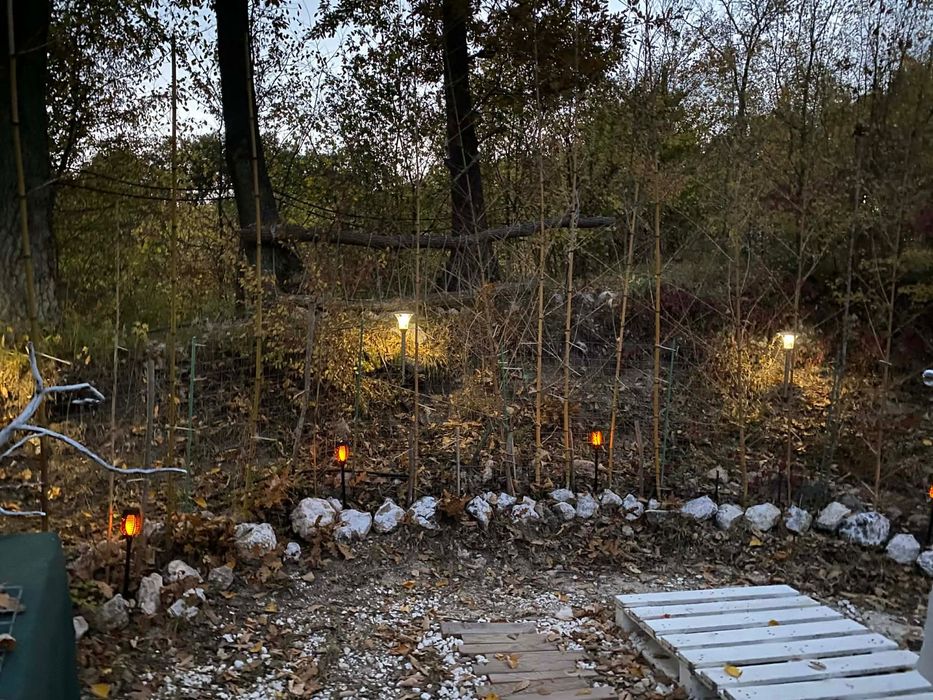 Продава се Парцел в с. Долище, Област Варна - 5000 кв.м за 4 €/кв.м - Снимка #4